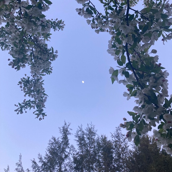 Make reasonable offer - Picture 14 of 15